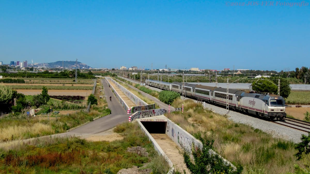 Reinforced Talgo bound for the South